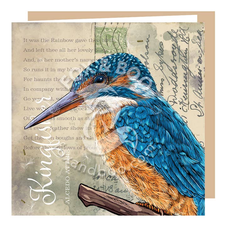 Victoria's Attic Collection - Kingfisher Greeting Card for wholesale by Fox & Boo