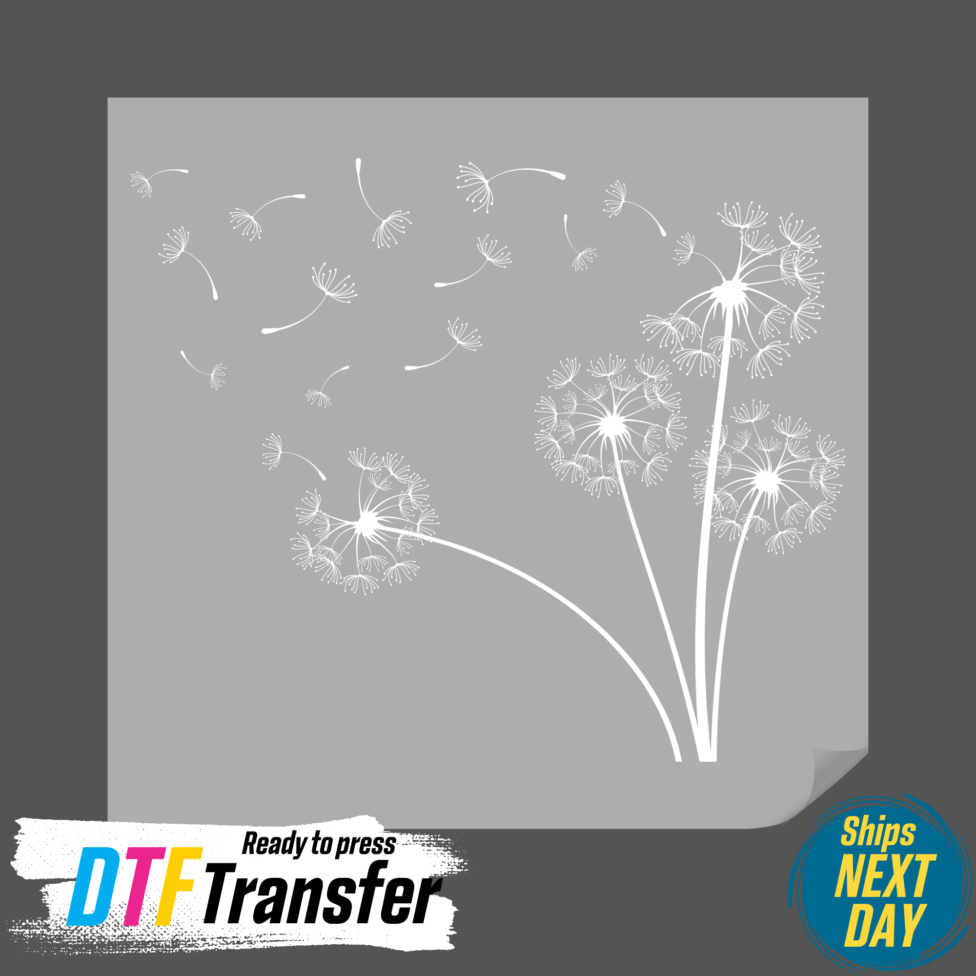 DTF Office - Wholesale Sublimation Transfer - Dandelion DTF Transfer1