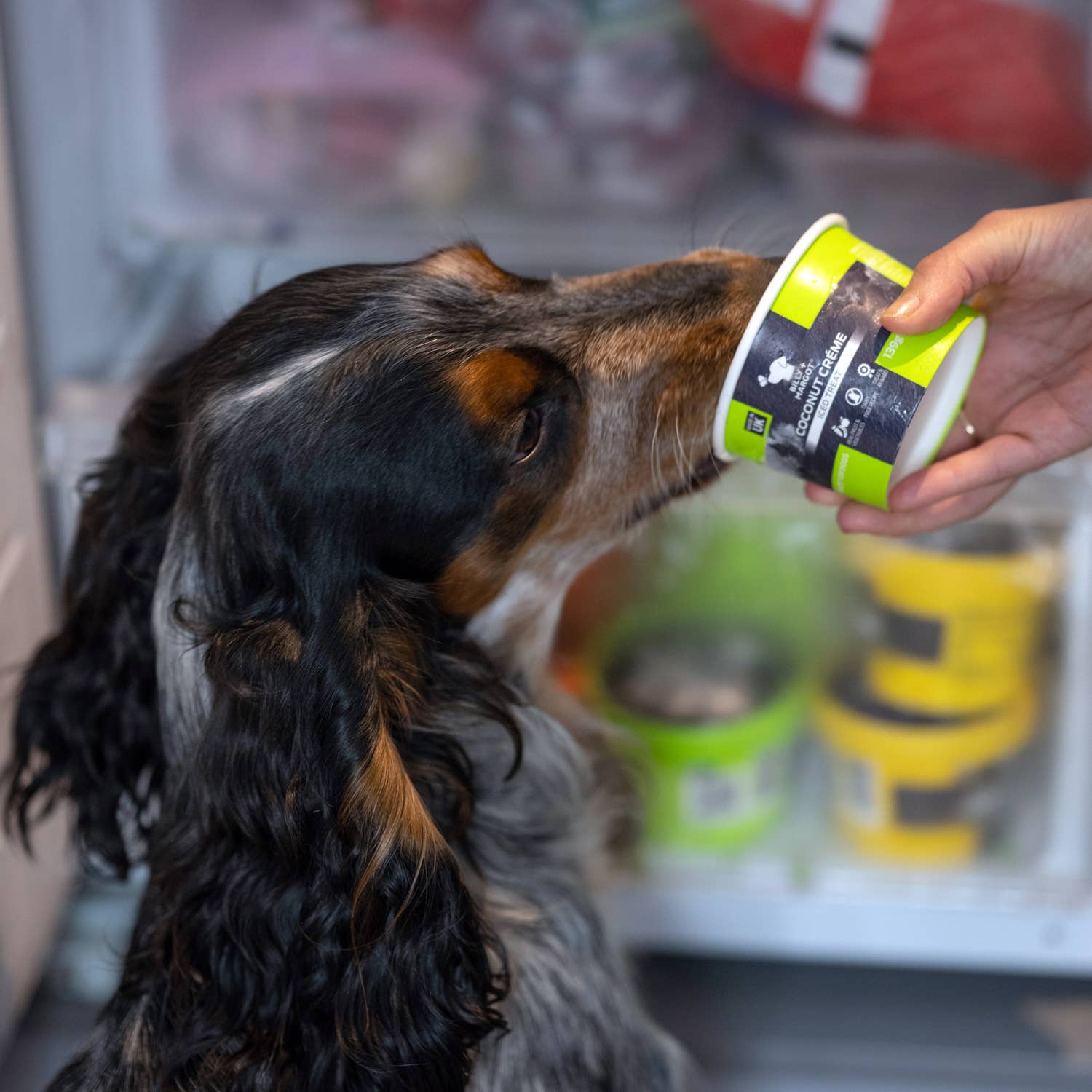 Billy + Margot – wholesale Pet treats – Dog – Dog Ice Cream - Natural Iced Treats Honey + Banana 3