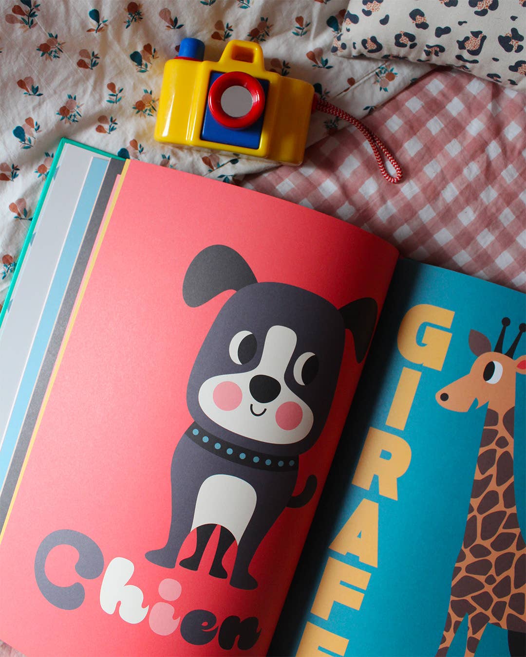 Marcel et Joachim - Wholesale Preschool Book (3-5) - Collector's Edition Animals2