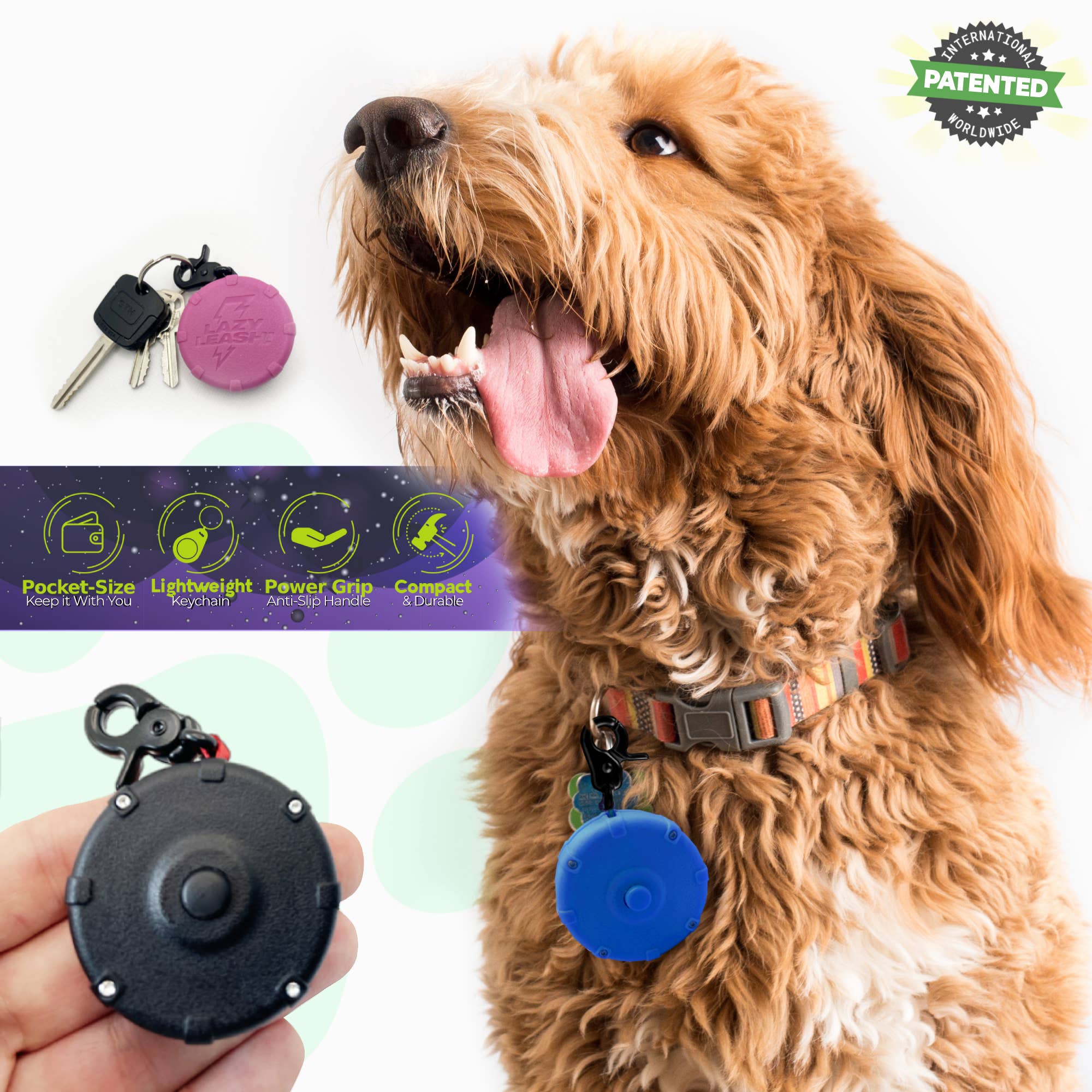 Lazy Leash! – Engroshandel Hundesnor - Hund – DOVEN SNOR! ⚡️ Mini Power Leash! 18pc Counter Skærmkasse3