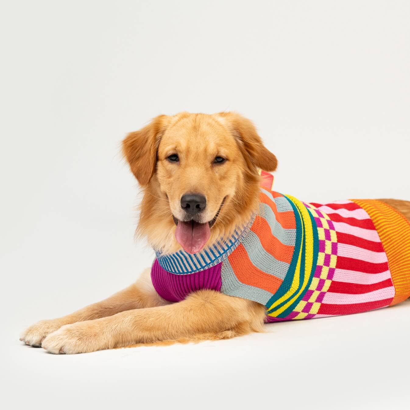 VERLOOP | knits - Vente Pull – chien - Pull pour chien à motifs variés6