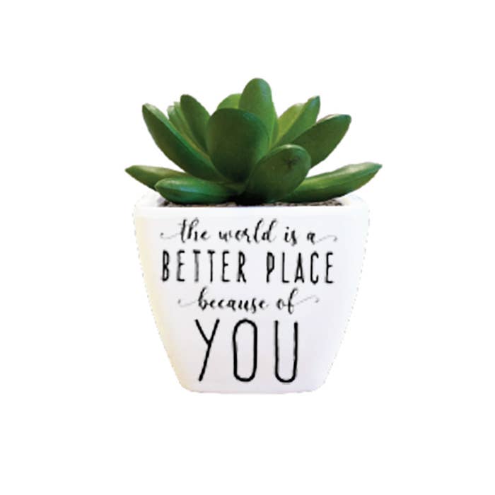 Sentiment Succulent - The World for wholesale by The H&H Group