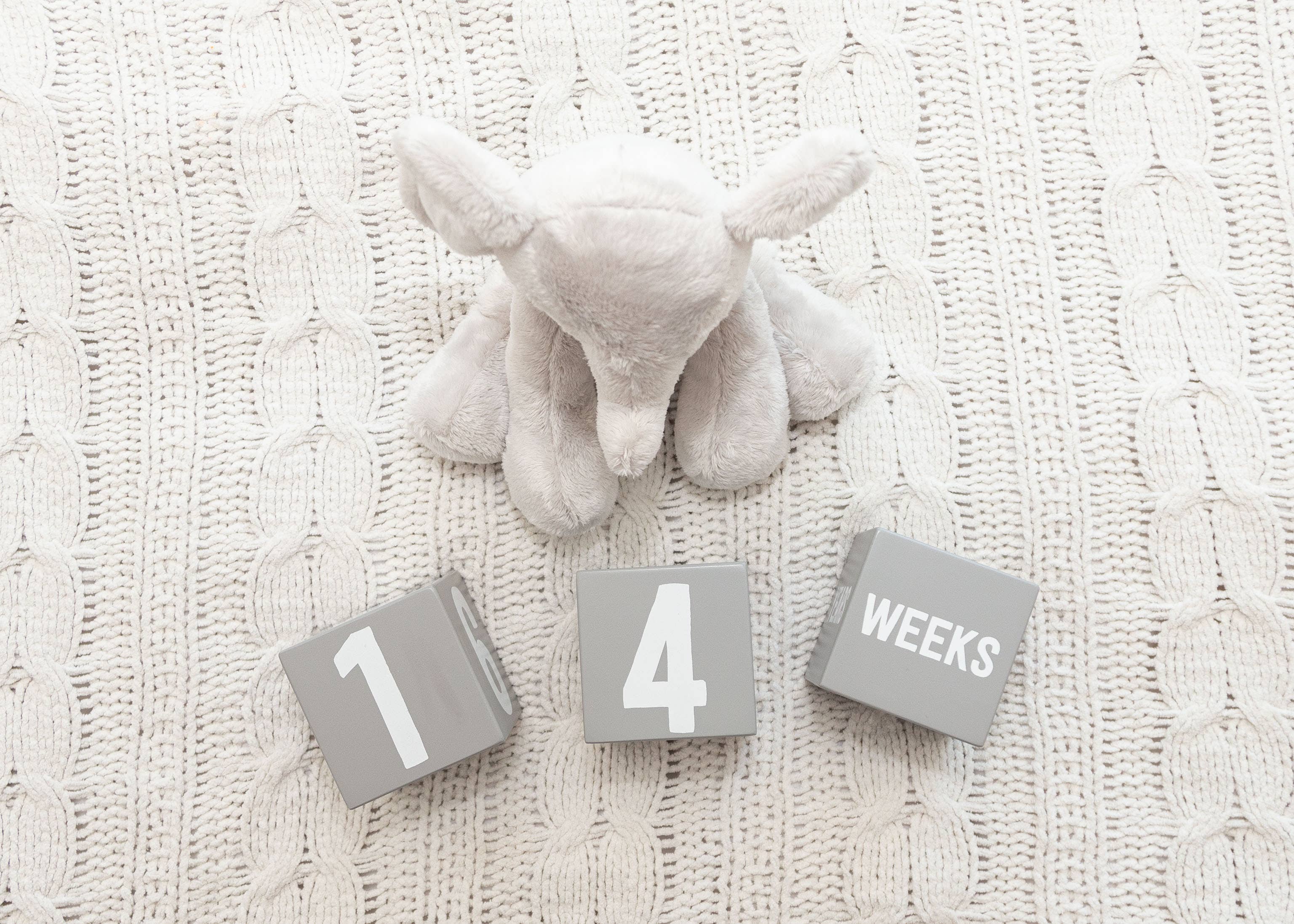 Kate & Milo - Vente Cube pour événement et souvenir – enfant et bébé - Blocs d'âge en bois pour photos étapes9