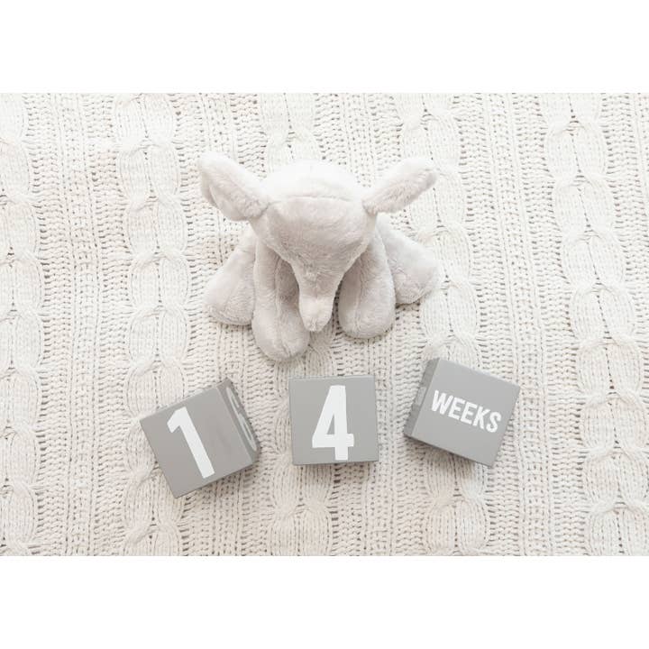 Kate & Milo - Wholesale Milestone Age Block - Kids & Baby - Wooden Milestone Age Blocks Photo Prop9