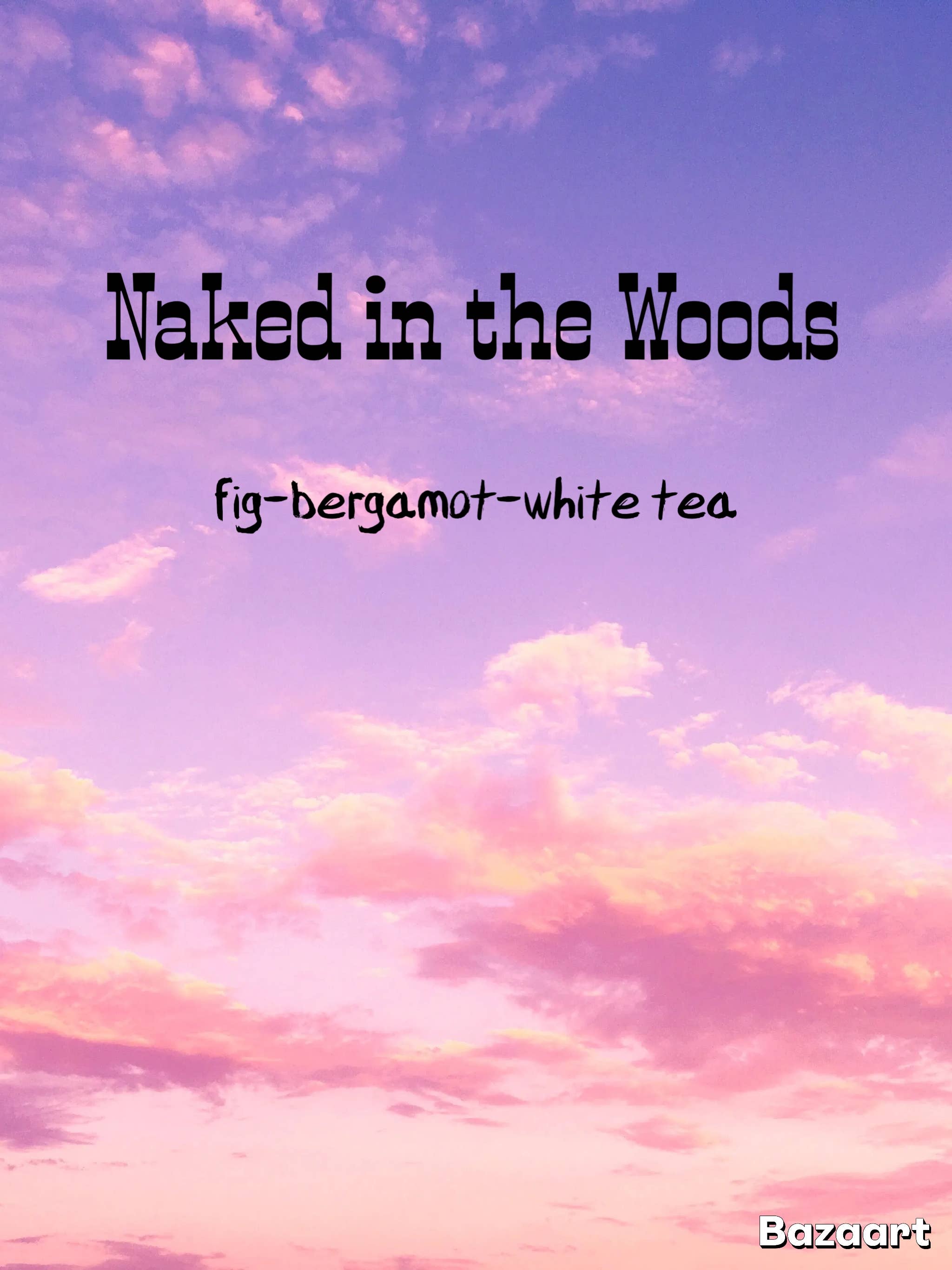 Purple Sky Incense - Wholesale Incense - Naked in the Woods ~ Natural Incense Sticks ~ 12 Sticks1