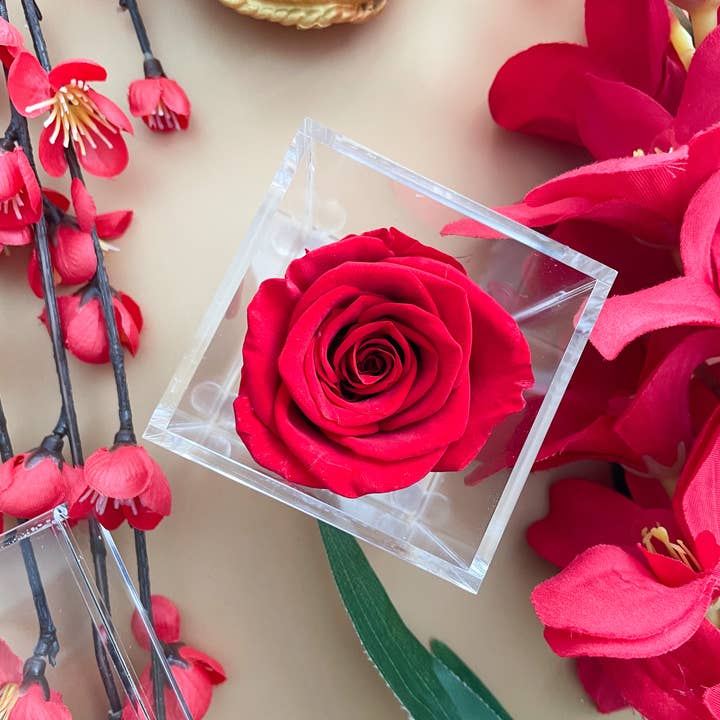 The Little bloom box - Wholesale Artificial Flowers - 1 Rose Crystal Acrylic Square Box2