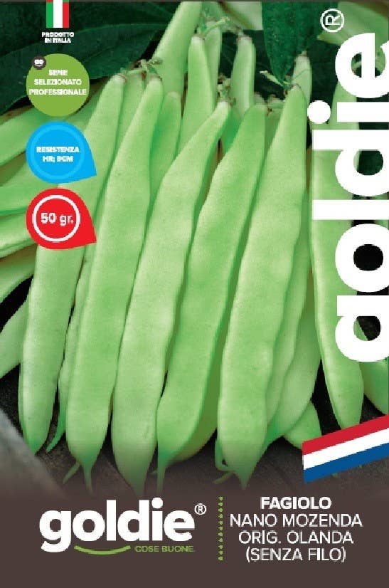 Sementi & Barbatelle - Wholesale Plant Seeds - Mozenda Dwarf Bean Orig Netherlands0