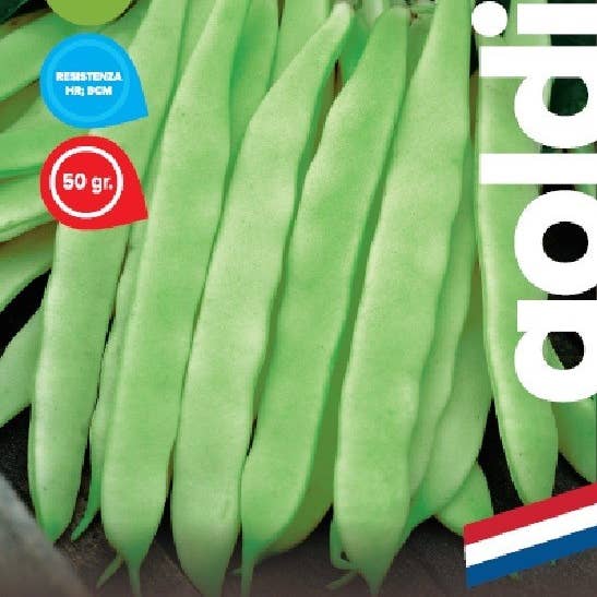 Sementi & Barbatelle - Wholesale Plant Seeds - Mozenda Dwarf Bean Orig Netherlands