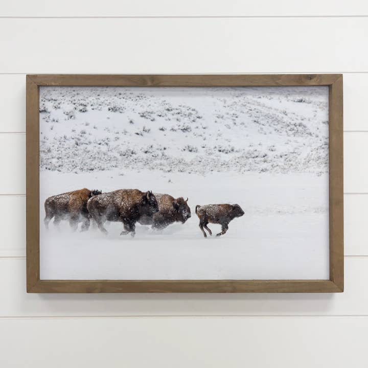 Bison na Neve - Fotografia Animal emoldurada - Ranch House por atacado de Hangout Home