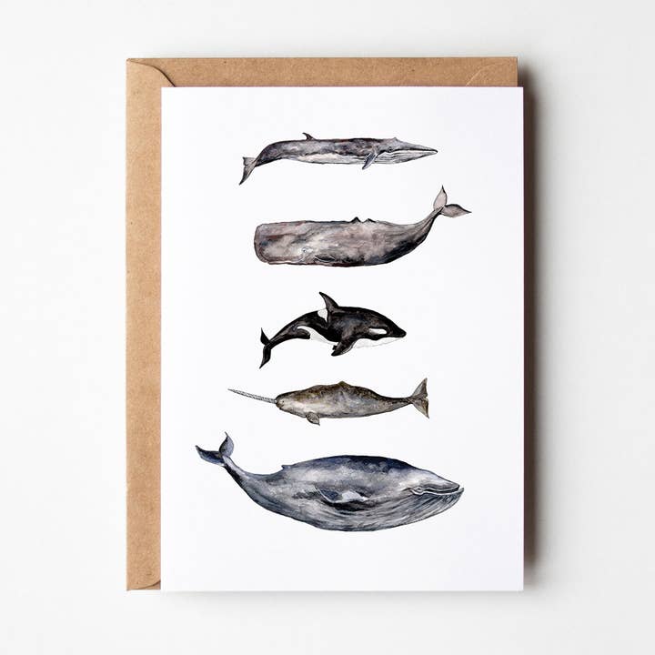 Carte de vœux baleine pour la vente par Helen Drake Illustration