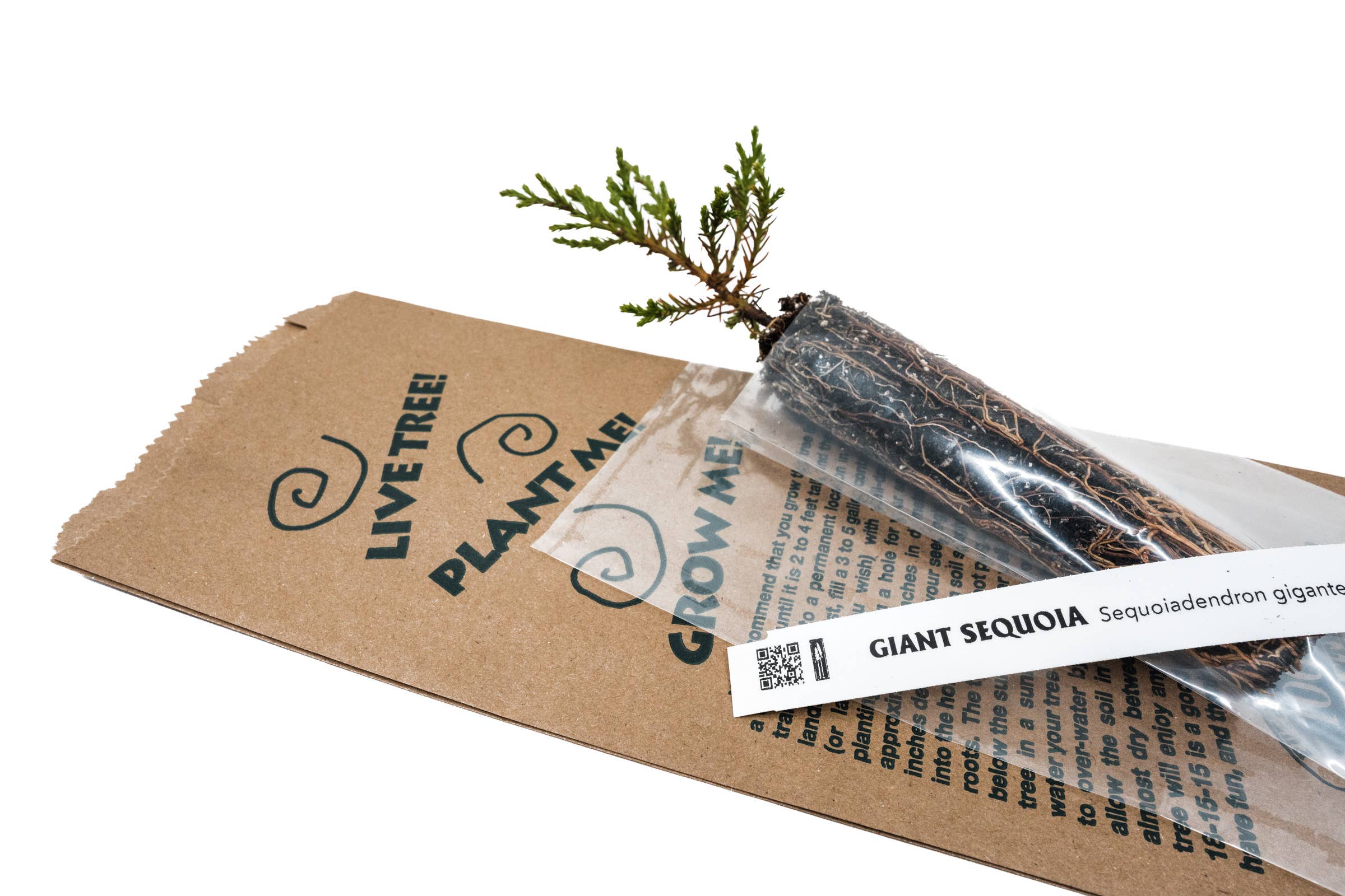 The Jonsteen Company - Vente Graines de plantes - Sacs Kraft Semis16