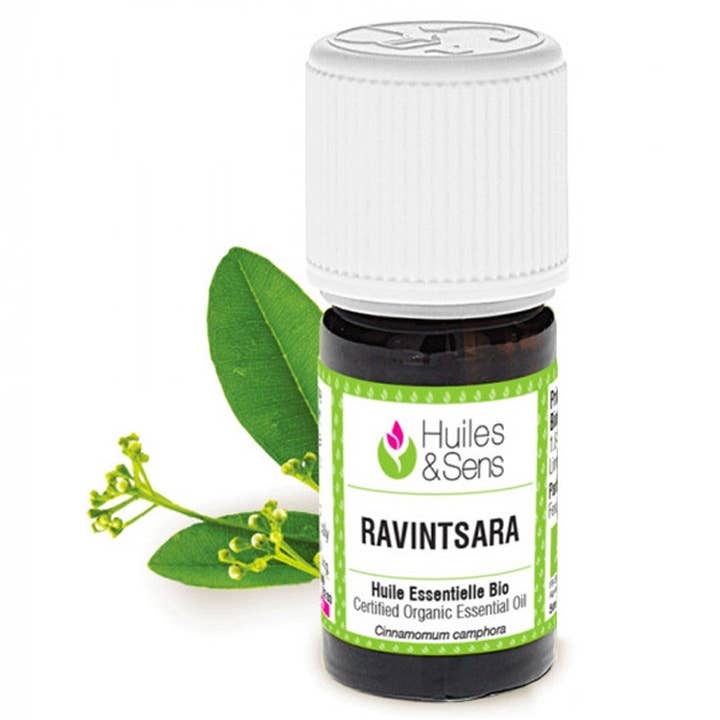 Huiles & Sens – wholesale Essential oil – ravintsara essential oil (bio) -15 ml