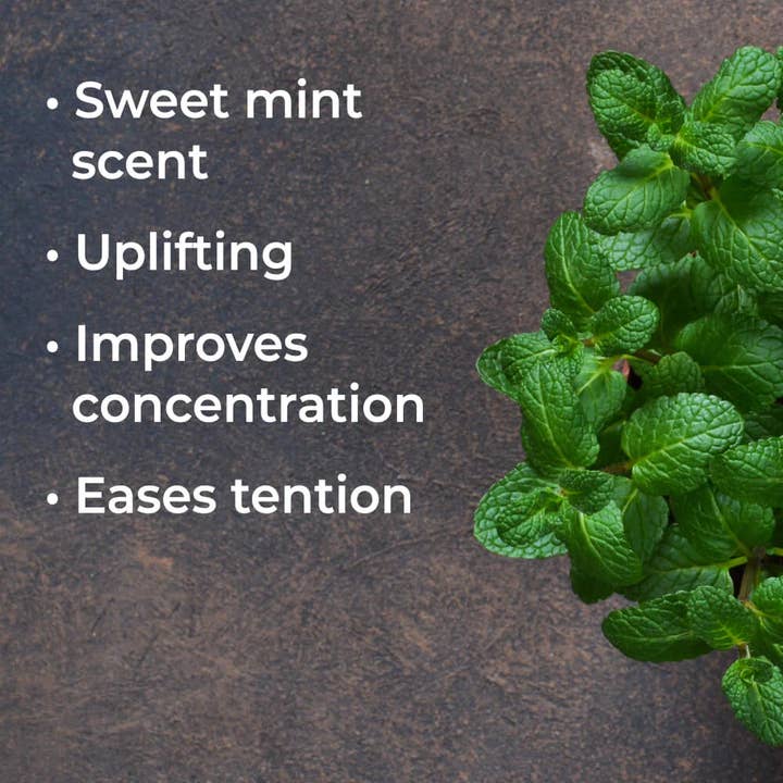 Plant Therapy - Wholesale Essential Oil - Spearmint Essential Oil 30 mL
