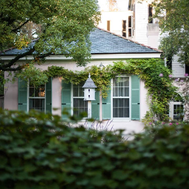 Verborgen//South Carolina voor wholesale door Alison Holcomb Creative