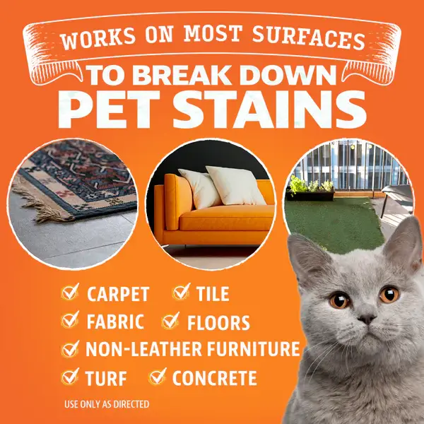 Angry Orange - Wholesale Stain Remover - Angry Orange Enzyme Stain Remover -  Citrus (Case of 4)5