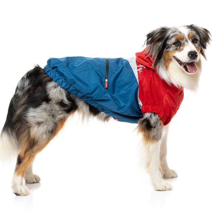 In Vogue Pets – wholesale Pet raincoat – Dog – The Seattle Raincoat - Red & Blue - SPECIAL OFFER!1