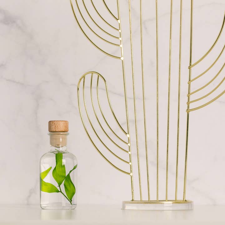 Theophile Berthon - Wholesale Live Plant - L'Herbarium Ruscus Italien light green - submerged plant