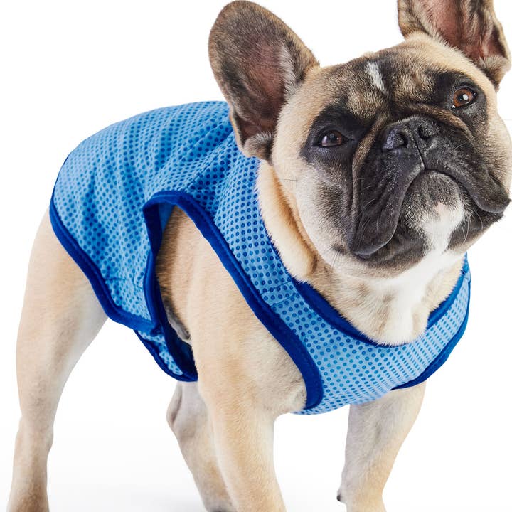 GF Pet – wholesale Pet vest – Dog – Elasto-Fit Ice Vest - Blue0