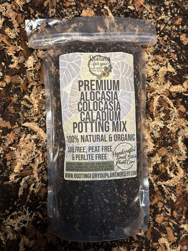Alocasia Colocasia Caladium Premium Potting Mix for wholesale by Rooting For You Plant Nursery