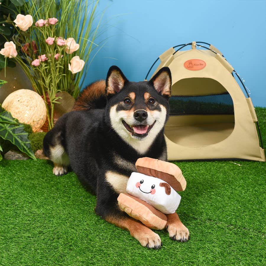 Hugsmart Products Inc - Wholesale Pet Plush Toy - Dog - HugSmart Pet - Camping Pups | S’more - Dog Plush Toy4