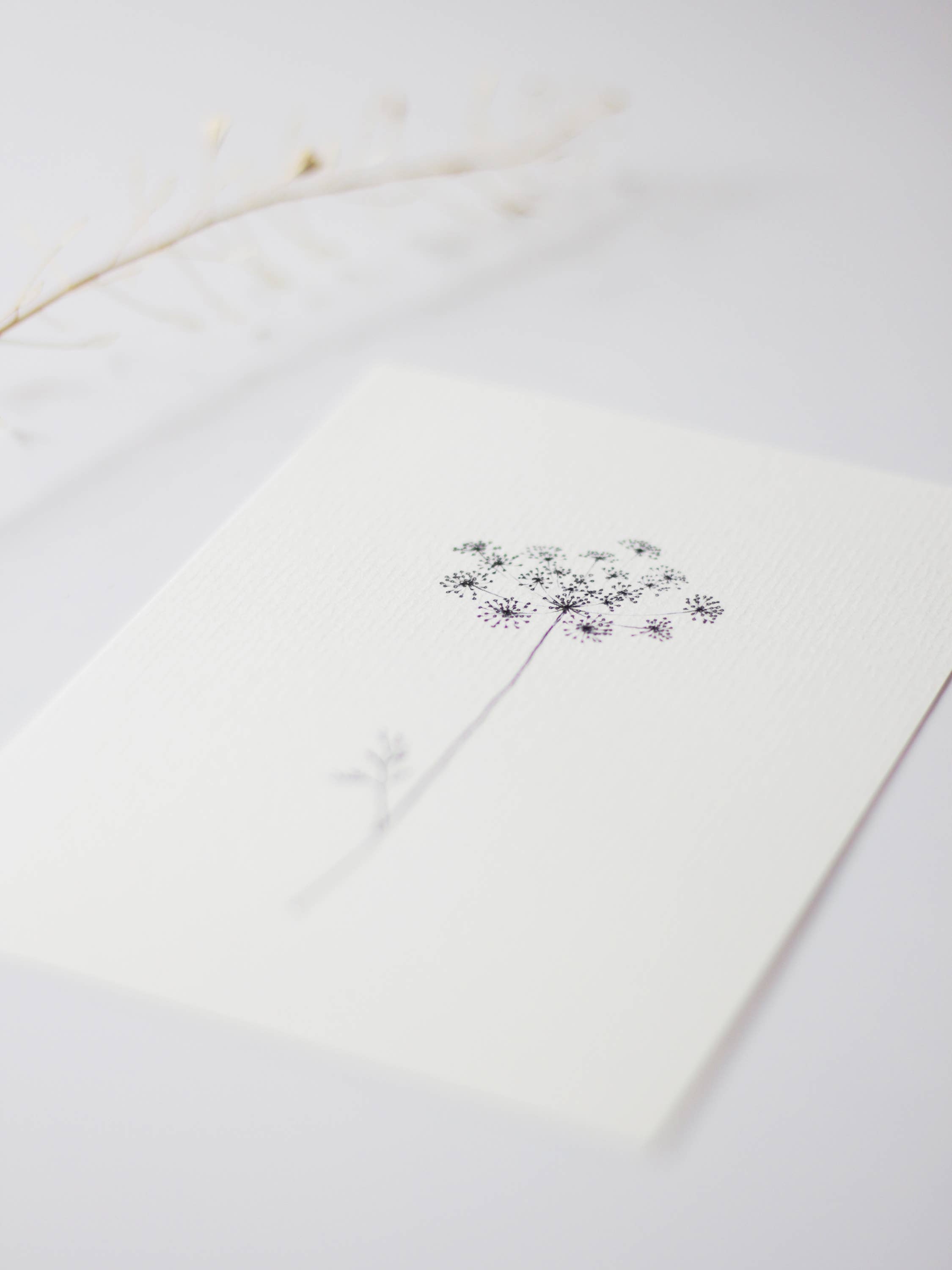 Lineea Studio - Venta al por mayor Tarjetas de felicitación - Tarjeta de hinojo silvestre2