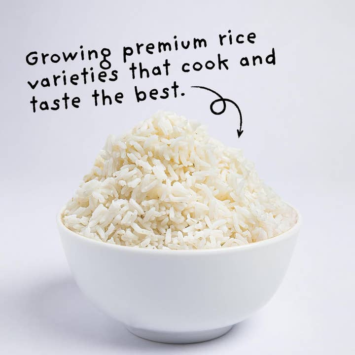 4Sisters - Wholesale Rice - 4Sisters Long Grain Aromatic Jasmine Rice - 2lb4