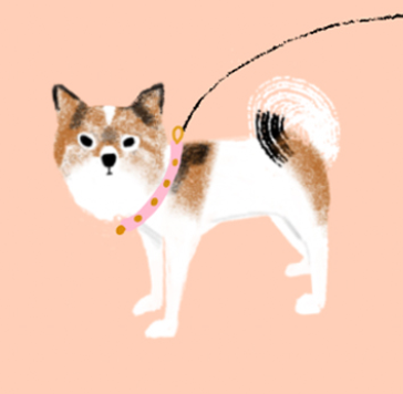 Carolyn Suzuki - Wholesale Birthday Card - OUT FOR A WALK - Birthday Card2