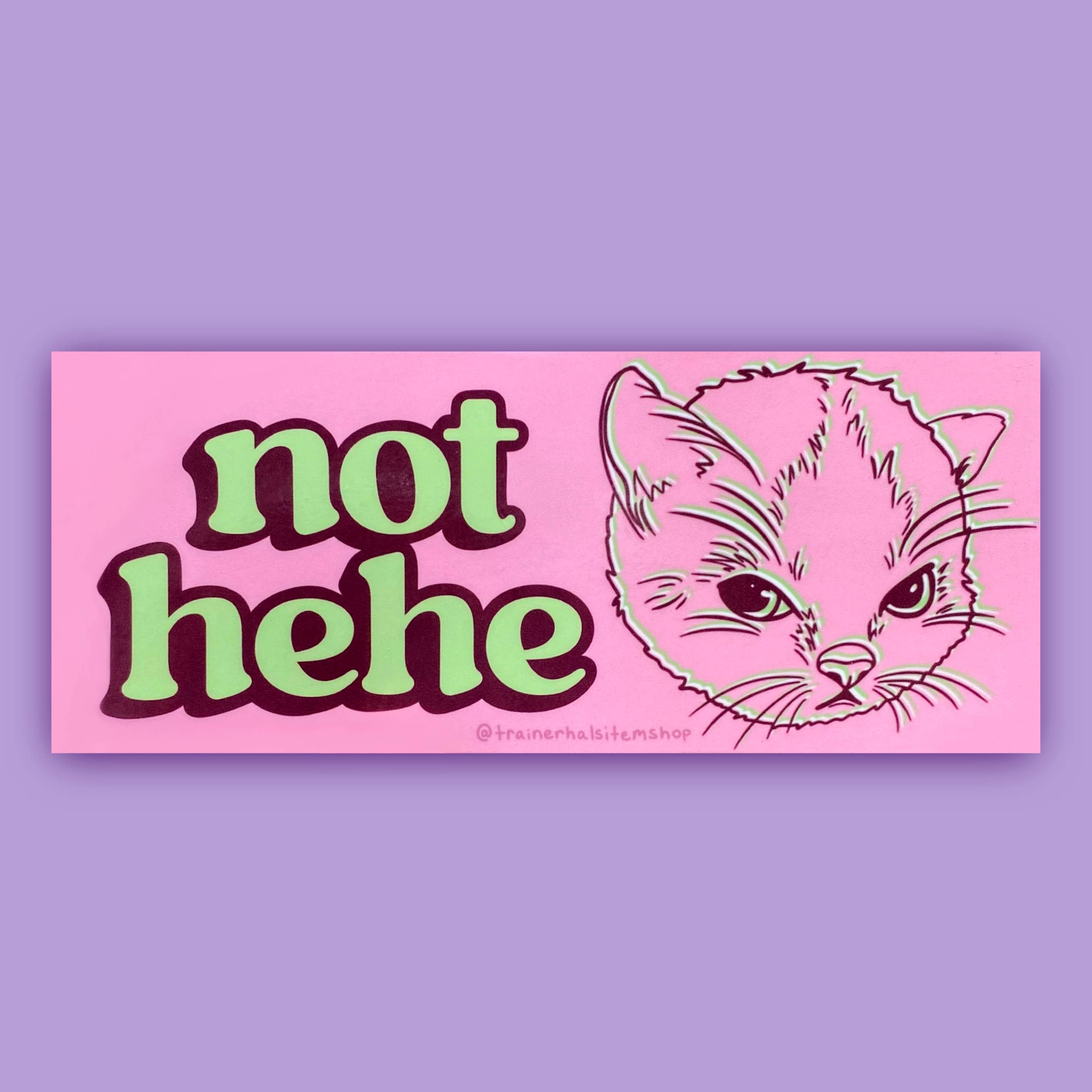 Trainer Hal’s Item Shop - Wholesale Sticker - Hehe Cat Meme Bumper Sticker | Grumpy Kitten Pink Y2K Decal0