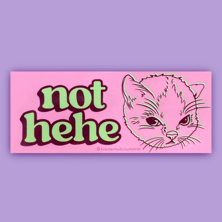 Trainer Hal’s Item Shop - Wholesale Sticker - Hehe Cat Meme Bumper Sticker | Grumpy Kitten Pink Y2K Decal