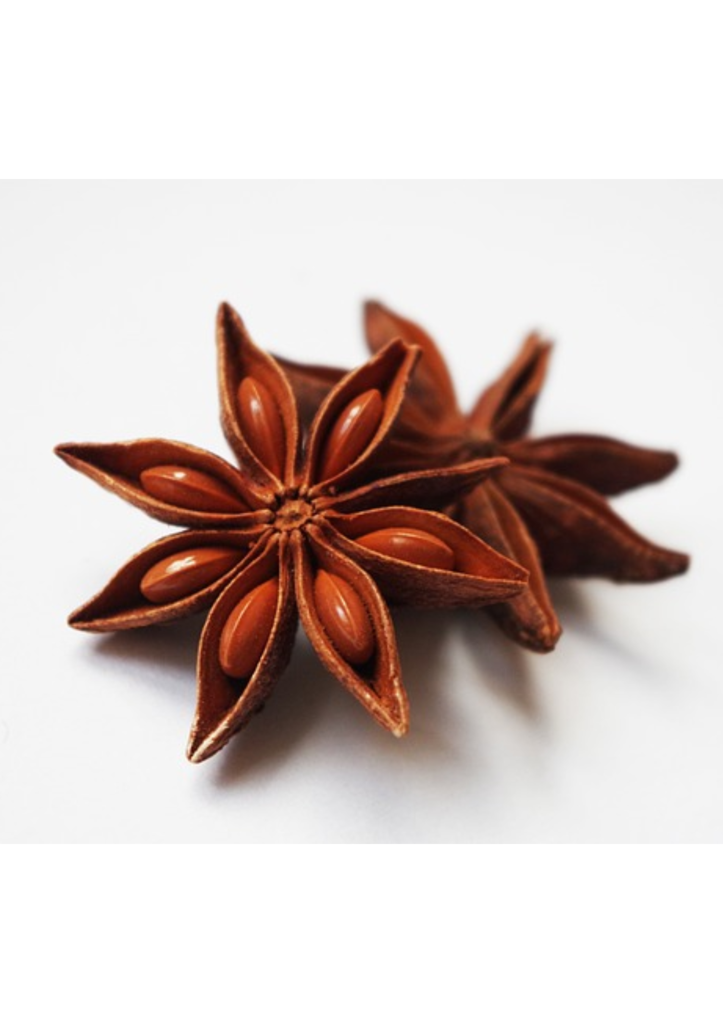 Cibobenessere - Venta al por mayor Hierbas - Anís Estrellado en Polvo - Especia Natural4