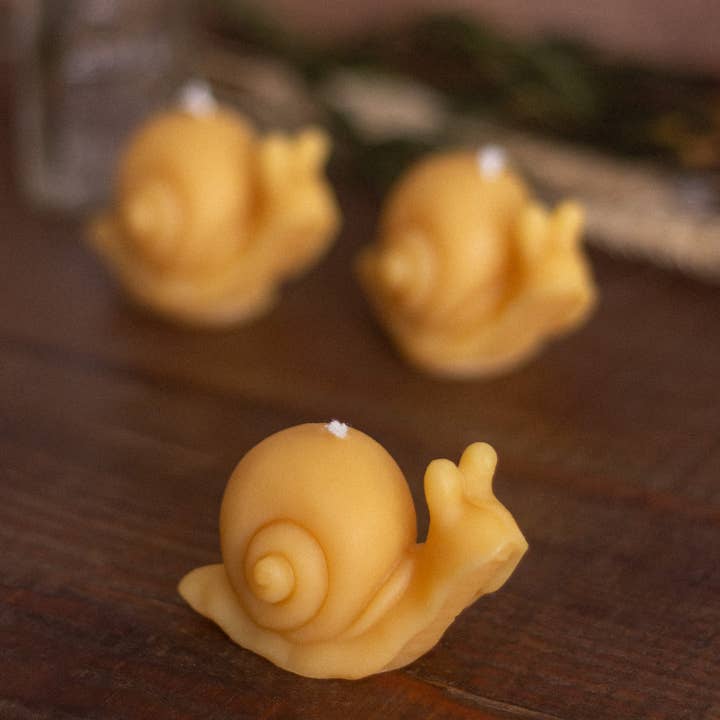 The Ramblin' Bee - Wholesale Novelty Candle - Snail Beeswax Candle
