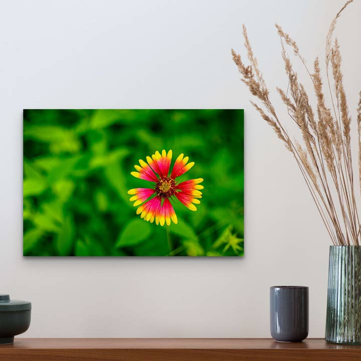 Firewheel, Mckinney Falls State Park, Texas Arte in legno e cartoline per la vendita all'ingrosso da parte di Wimberley Puzzle Company