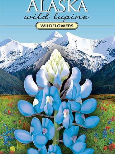 Alaska Wild Lupine Wildflower Seed Packet for wholesale by Created By Nature