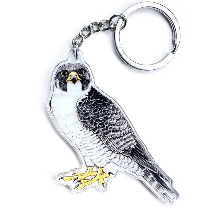 Allison Stoiser Art - Wholesale Keychain – Unisex - Peregrine Falcon Double-Sided Acrylic Keychain