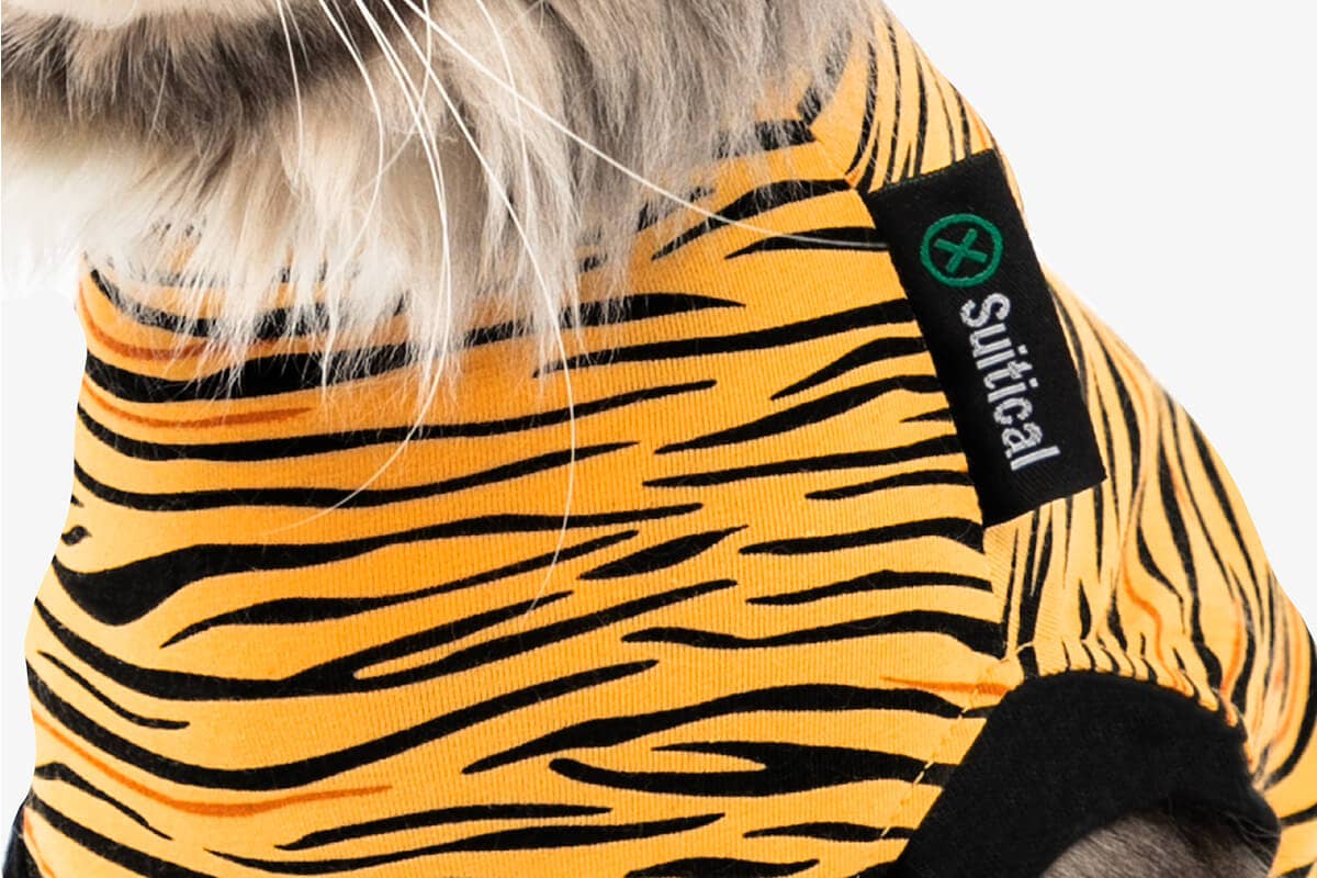Suitical – wholesale Pet bodysuit – Cat/dog – Recovery Suit - Cat3