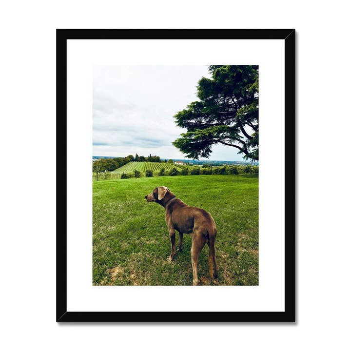 No.300 Framed & Mounted Print for wholesale by Pixel Gallery
