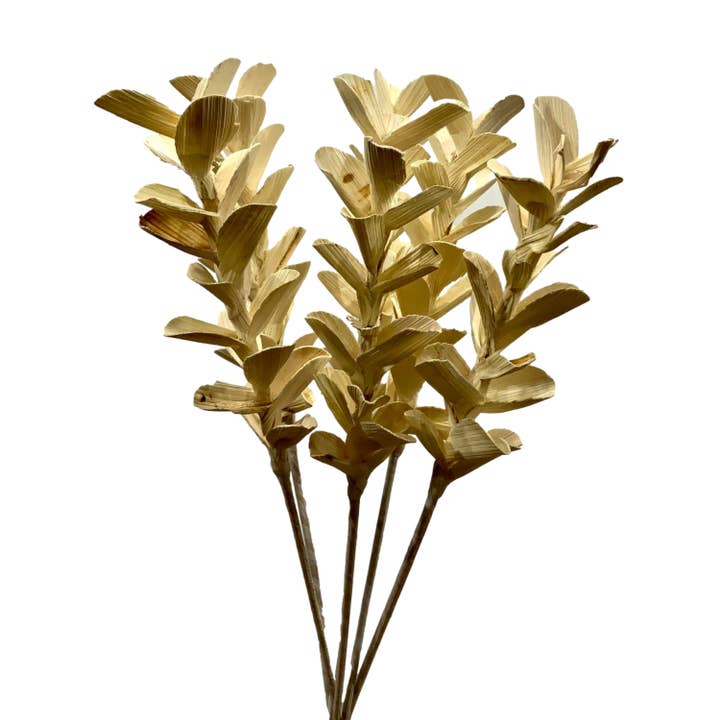 Wilco Home - Venta al por mayor Flores artificiales - Follaje de gardenia de madera de shola blanqueado por el sol de 5 tallos