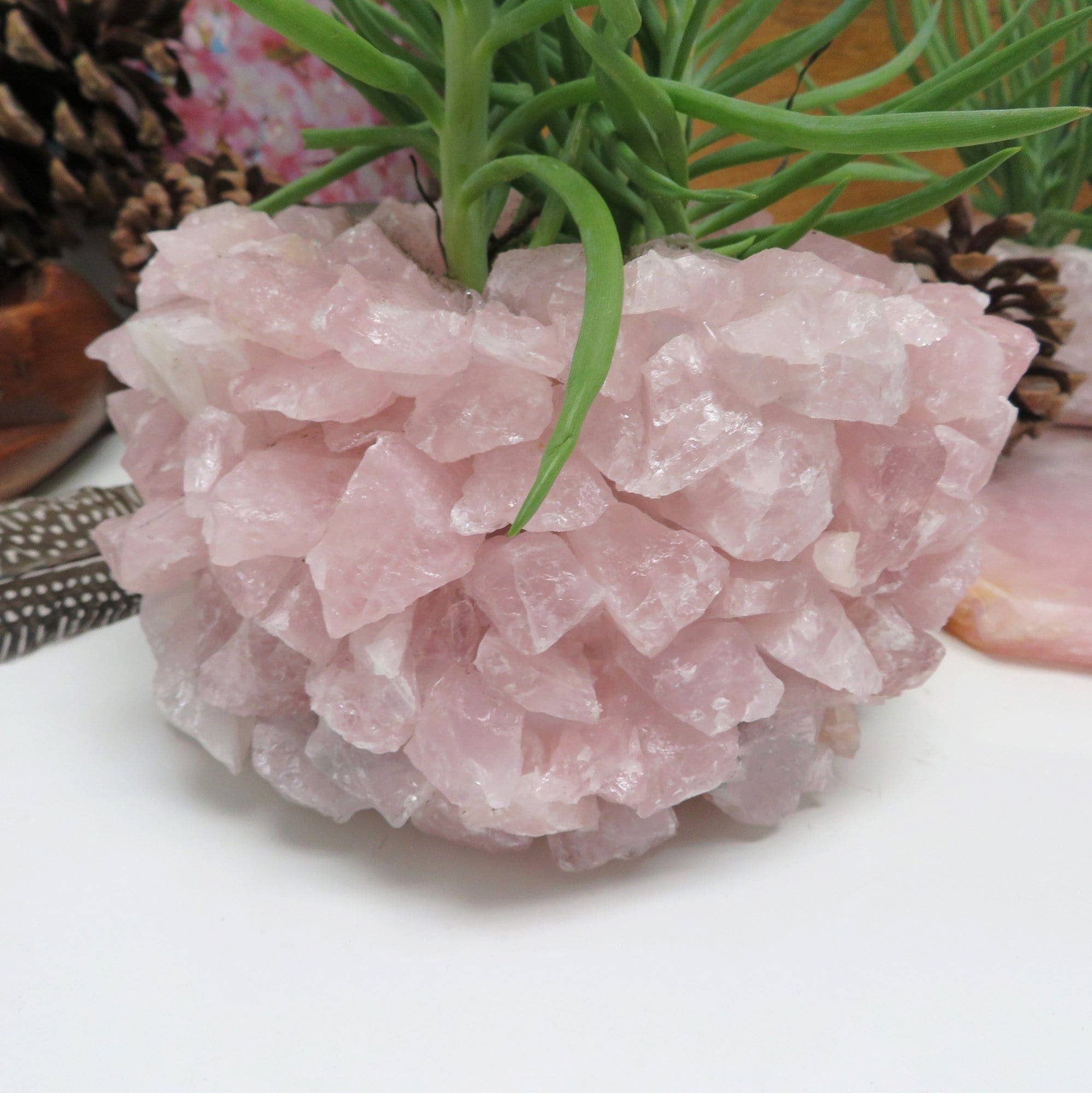 Rock Paradise - Wholesale Plant Pot - Rose Quartz Crystal Planter Pot5