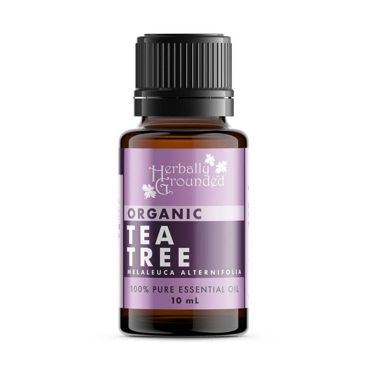 OLIO ESSENZIALE DI TEA TREE, BIOLOGICO per la vendita all'ingrosso da parte di Herbally Grounded
