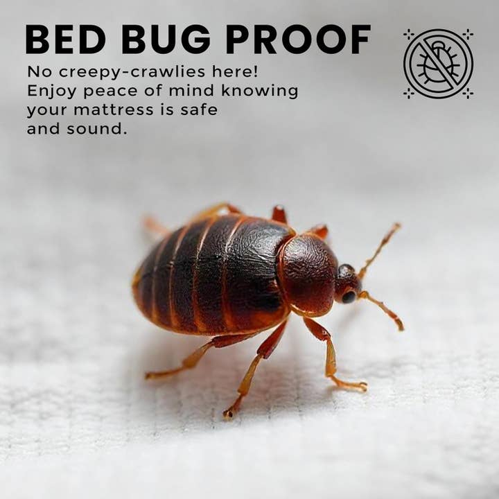 DRINKPOD LLC - Wholesale Mattress Pad/Protector - Premium Waterproof Bed Bug Mattress Cover, Zippered Mattress Protector, 10 Inches Deep, Dust Mite Proof 6-Sided Mattress Encasement for Bed