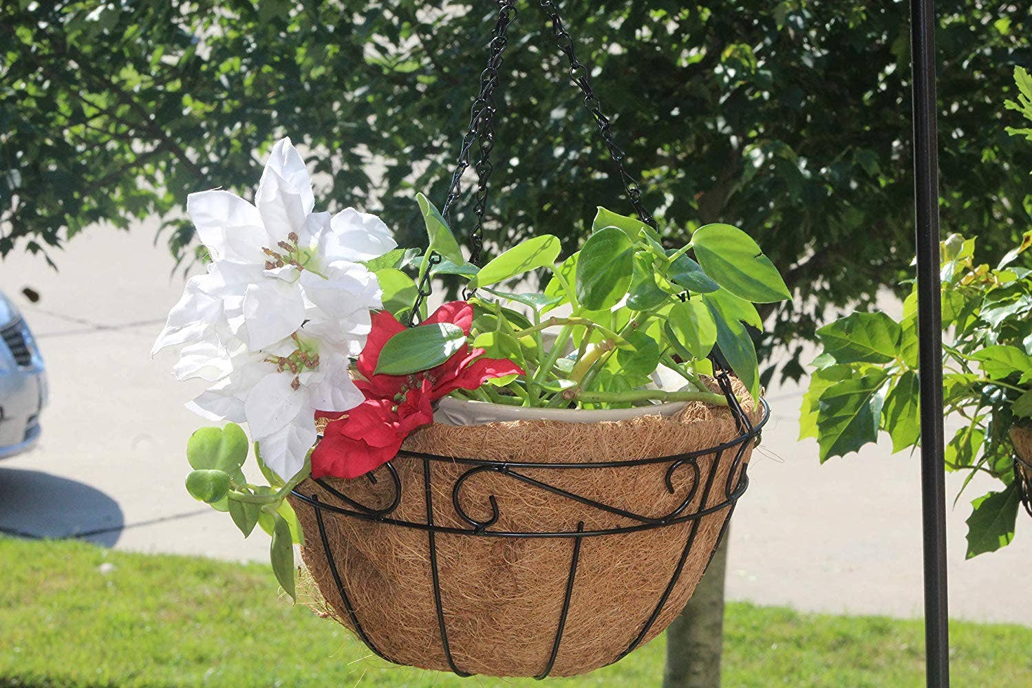 Ashman Online - Wholesale Hanging Planter - Ashman Metal Hanging Planter Basket with Coco Coir Liner 12"5