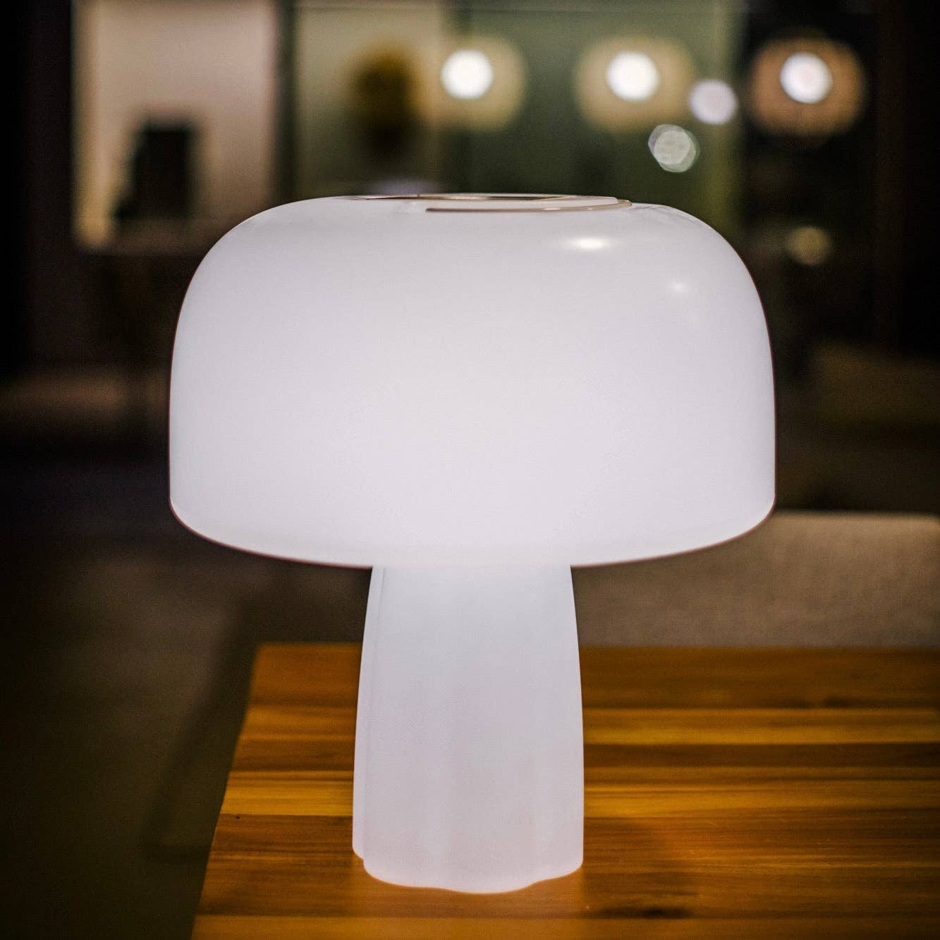 Goodnight Light - Wholesale Accent/Desk Lamp - The Boleti Lamp - Solar powered, portable lamp1