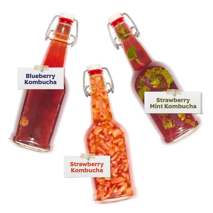 Fermentaholics - Wholesale DIY Drink Kit - Kombucha Bottling Kit, Flip Top