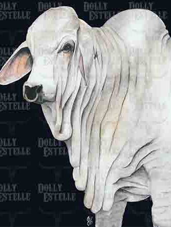 11x14 Prints - Whiskey (black background) for wholesale by DOLLY ESTELLE