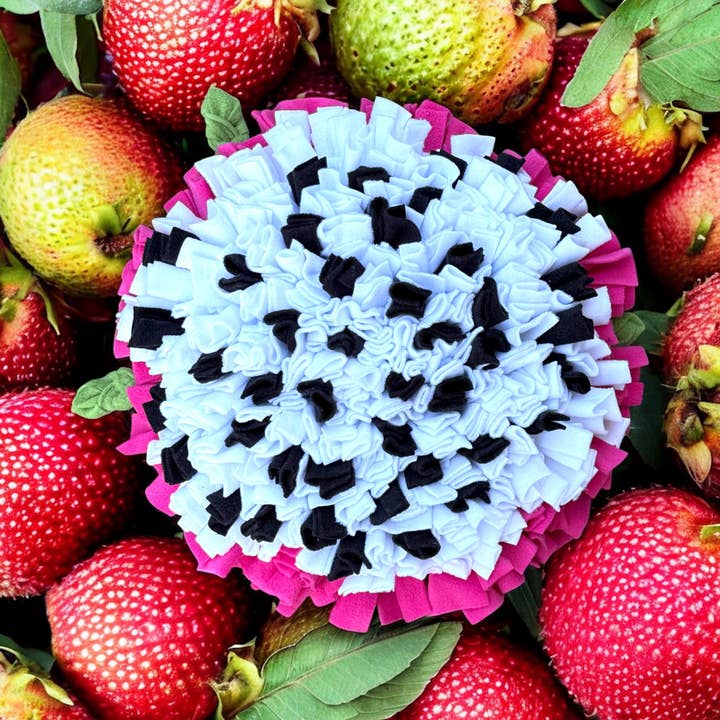 Schnüffel Dog - Wholesale Pet Food Mat - Dog - Lg. Snuffle Mat Dragon Fruit