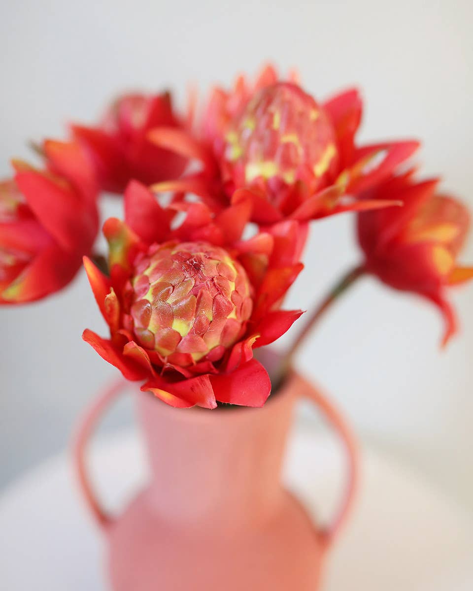 Prestige Botanicals - Wholesale Artificial flowers - Faux Orange Waratah Protea 16.5”3