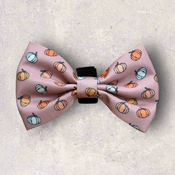 Bow Tie - 'Cinderella Latte' for wholesale by Cookie and Chewkie