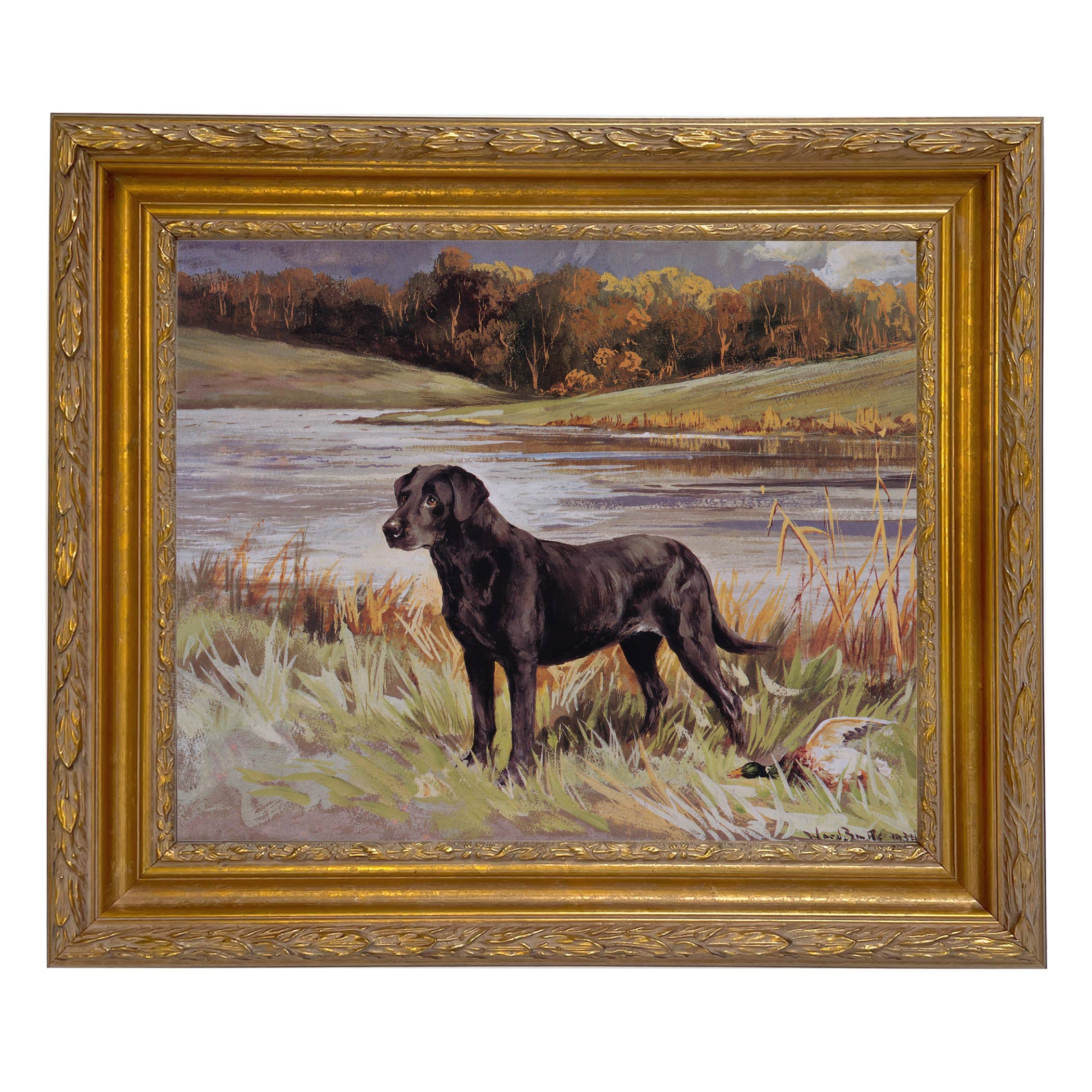 Madison Bay Co. - Historical Home Decor Reproductions - Wholesale Art Print - Labrador Retriever with Duck Framed Painting Print on Canvas71