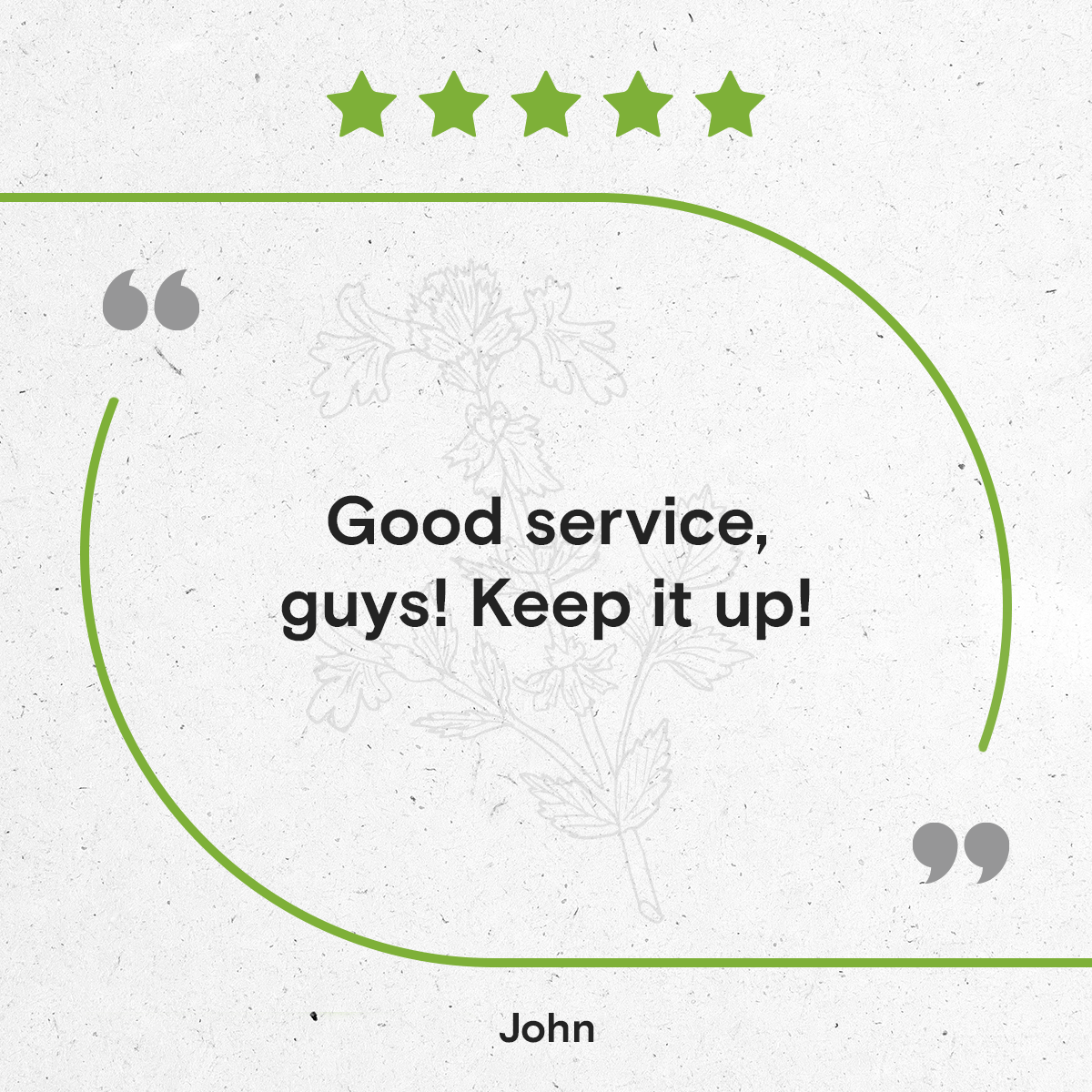 Secrets Of The Tribe – wholesale Tinktur – Eyebright Tinktur6